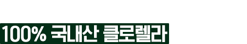 4중 다기능성의 100% 국내산 클로렐라로 올 케어!